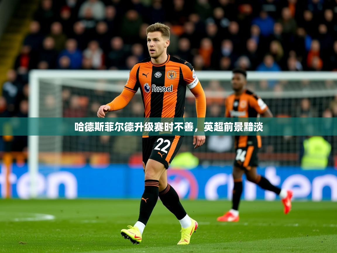 2025米兰体育哈德斯菲尔德升级赛时不善，英超前景黯淡