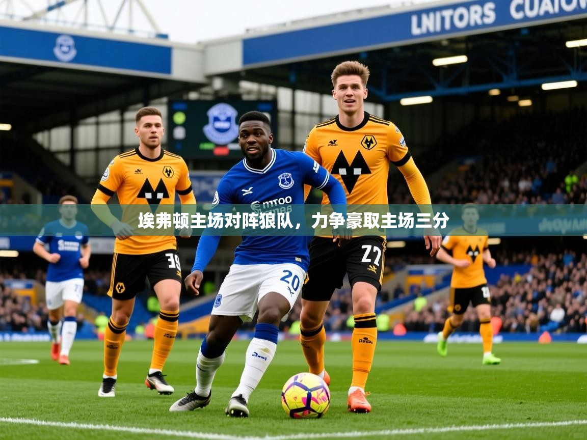 2025米兰体育是正规的吗埃弗顿主场对阵狼队，力争豪取主场三分