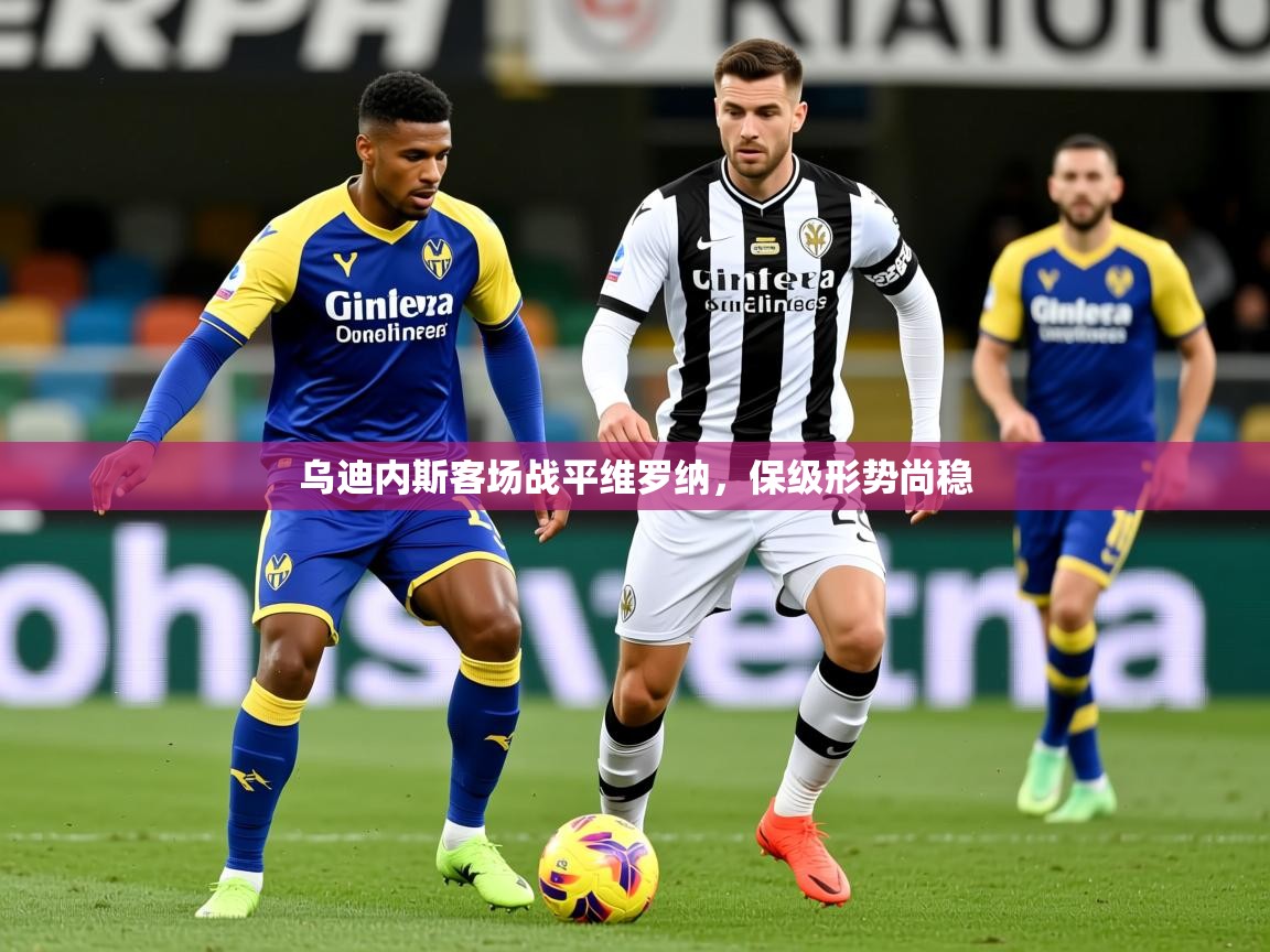 2026米兰体育官网入口乌迪内斯客场战平维罗纳，保级形势尚稳  第4张