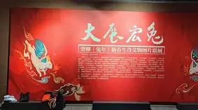 关于异彩纷呈的对决令人目不暇接的信息